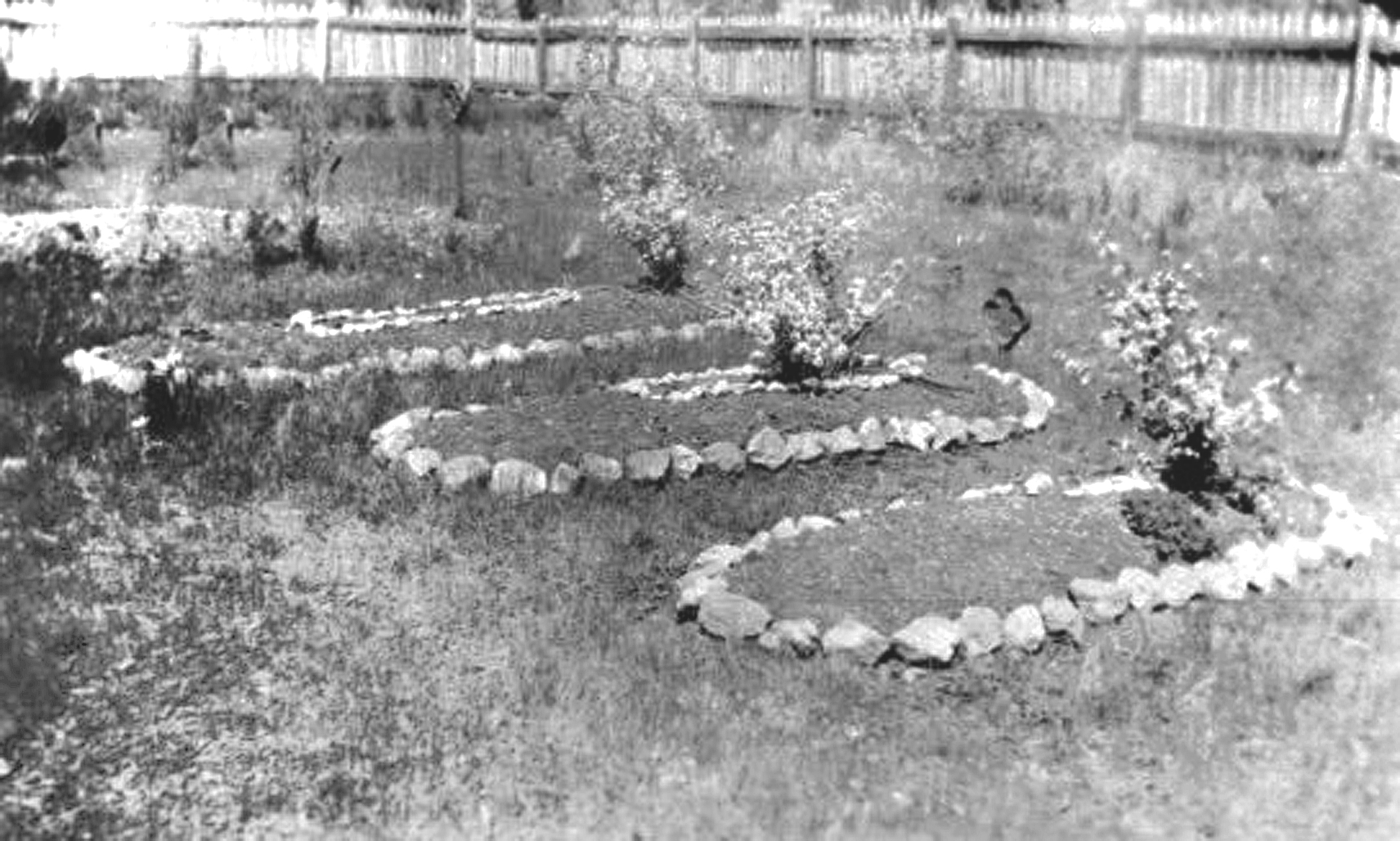 Whroo Cemetery - Respectful tributes circa 1920